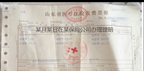 人保壽險全方位服務指南 保單查詢、驗真、發票與理賠